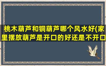 桃木葫芦和铜葫芦哪个风水好(家里摆放葫芦是开口的好还是不开口的 🕷 好)